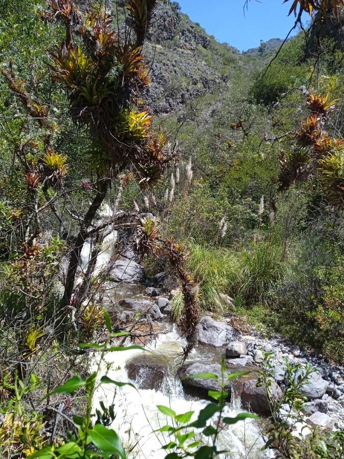 Ecolodge Casa Del Montanista Huaraz  Exteriér fotografie