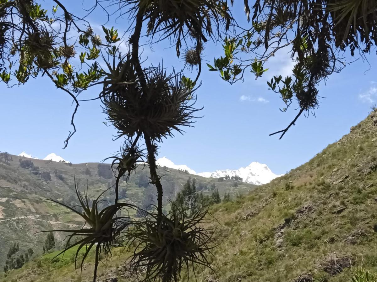 Ecolodge Casa Del Montanista Huaraz  Exteriér fotografie